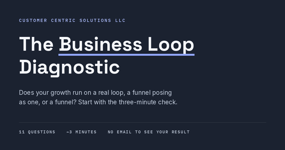 Business Loop Diagnostic — see what it produces